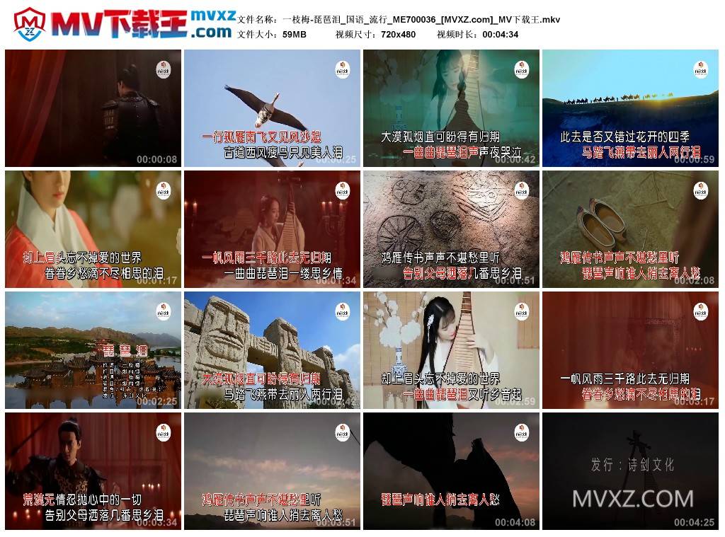 一枝梅-琵琶泪_国语_流行_ME700036